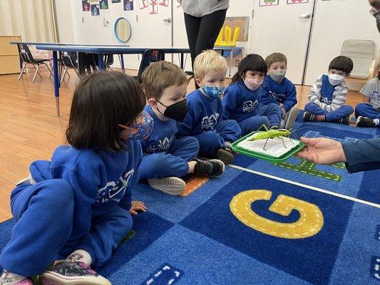 The Insect Lab visits the Pre-K!