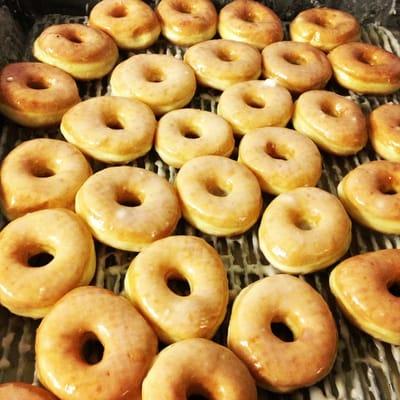 Freshly glazed donuts!