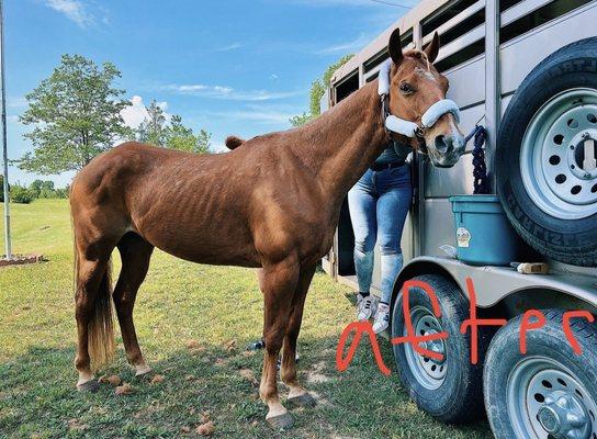 Sugar Creek Ranch