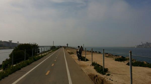 Amazing bike trail through Marina Del Rey.