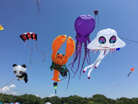 Kite festival in July