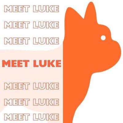 Our beloved mascot is named Luke. He's our friend & brand ambassador. Luke loves to help promote & watch over your listing or your next home