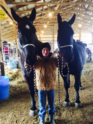 Charlie and Travis Percheron drafts and their driver Skylar