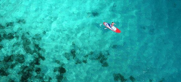 Life, boat, water, seaweed