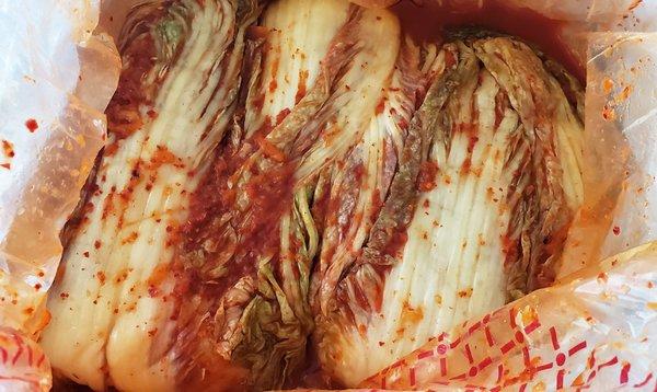 [Made in Gangwon-do, Korea] Authentic Korean Napa Cabbage Kimchi 22LB