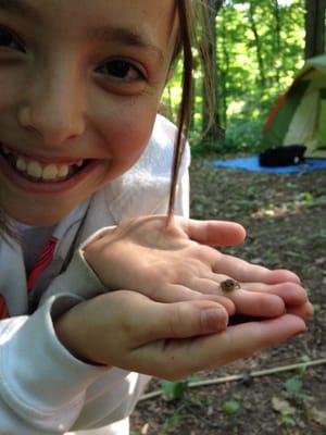 Lots of little frogs & fireflies for kids to catch. ; )