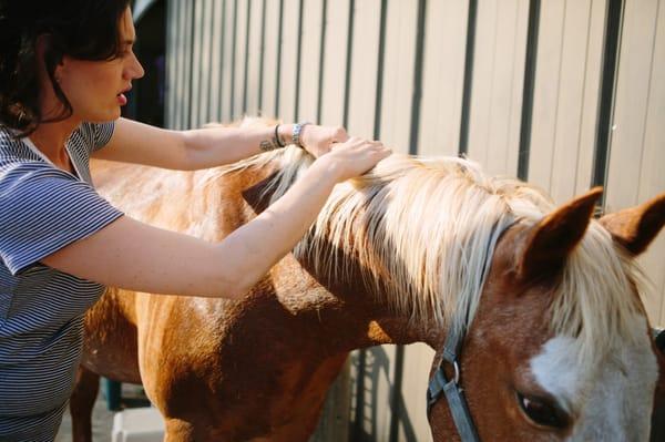 Equine Massage - Massaging the Neck