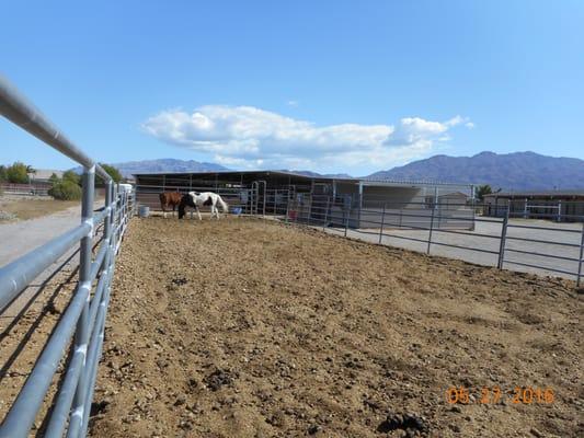 Turnout paddock