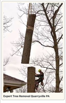 Upland Timber Tree Service