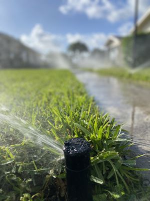 Irrigation and Lighting Contractors