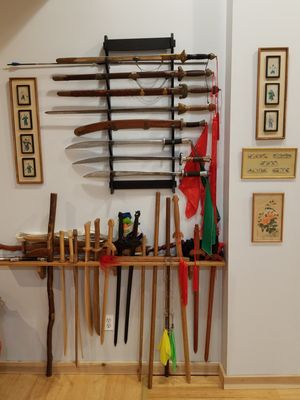 Tai Chi weapons are used in advanced forms.