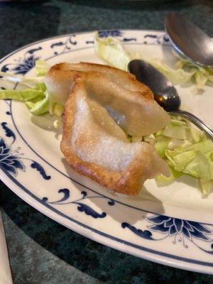 PotSticker