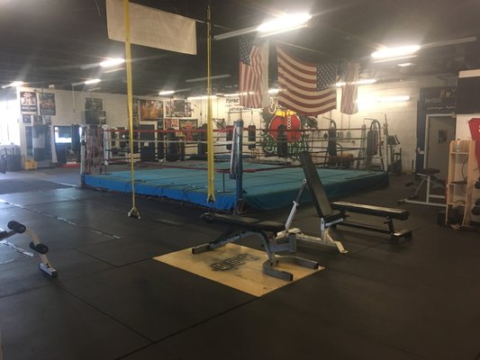 Ring & Freeweight Benches