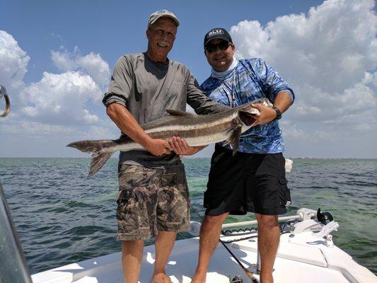 Cobia Of The Day