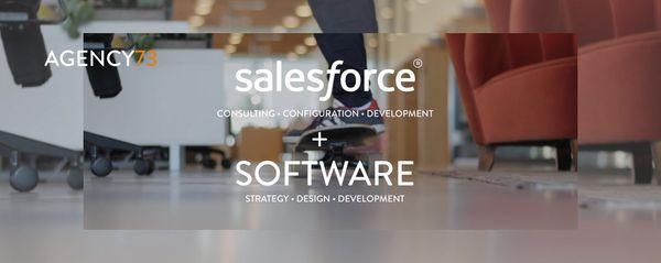 San Diego Salesforce® Consulting Partner, Web &amp; App Development - Agency73