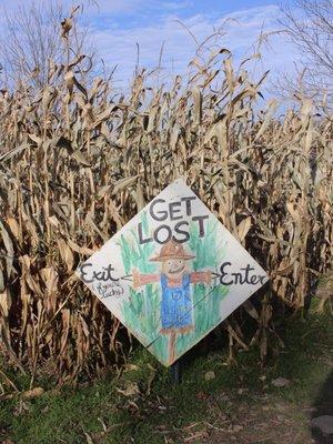 Corn Maze