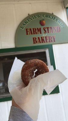 Apple Cider Donut