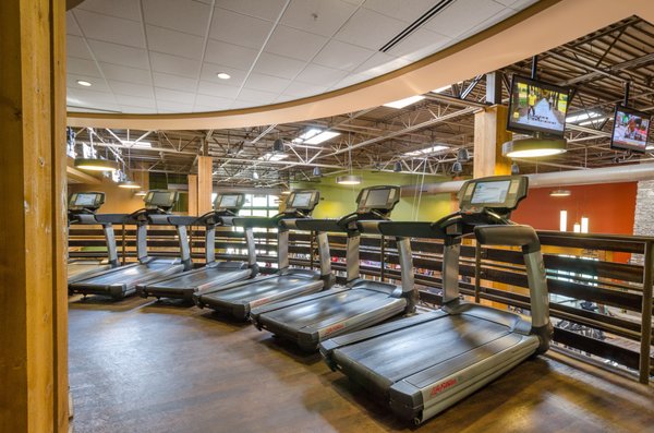 Cardio balcony with treadmills, ellipticals, Jacob's Ladders and more!