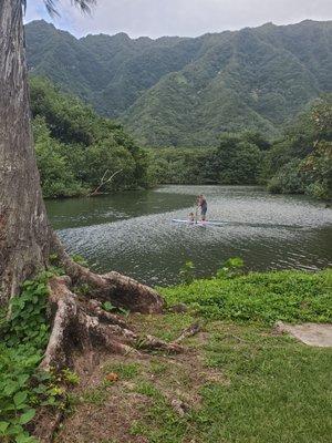 Kahana Bay. You can paddle up stream though the jungle in calm waters, or downstream into the open ocean to catch a wave!