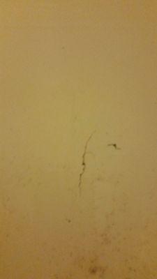 Crack in shower floor