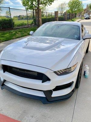 Mustang GT Twin Turbo Clay Bar Decontamination, Paint Correction Scratch/Swirl Removal, and Ceramic Coating