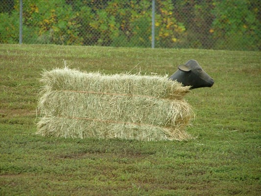 Practice roping