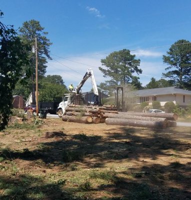 Tree Removal in Conyers, GA