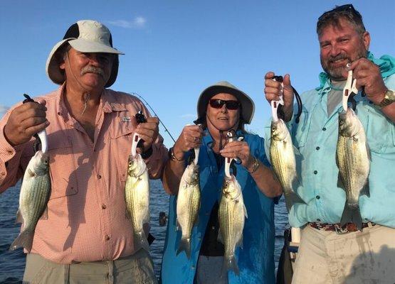 Just a few of the 130 White Bass we caught on our trip.