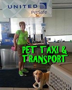 Airvets provides pet air travel, taxi and transport services- this photo taken at United Airlines Pet Cargo area - IAH Houston