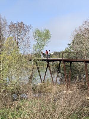 Smith Oaks Bird Sanctuary