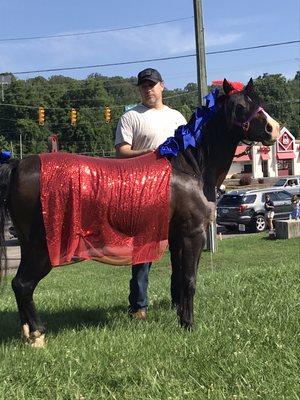 Annie in the Jonesborough Days parade