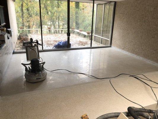 Lavinia 25x doing a great job on some Terrazzo