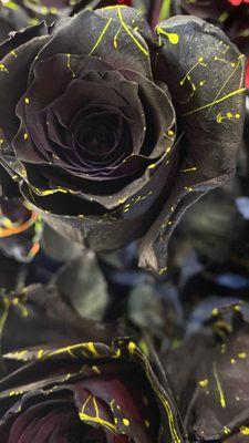 Black Halloween rose