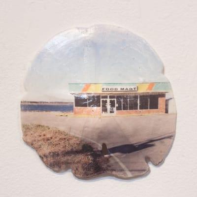 Image transfer to sand dollar