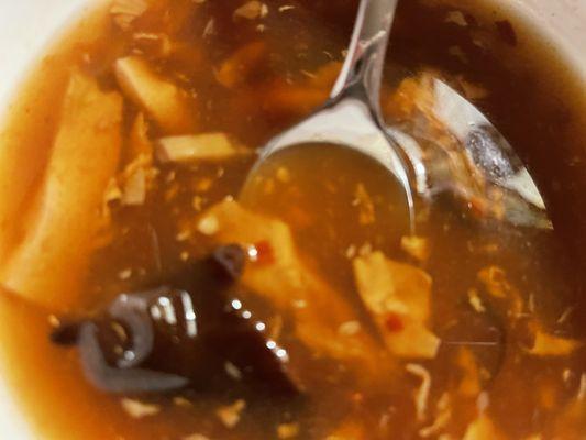 Hot and Sour Soup. Best I have had in a long time!