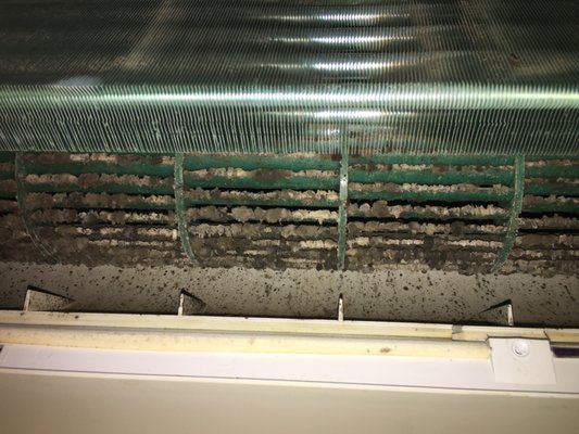 This is what lurks BEHIND your "clean" filters! Mold, mildew, pollen, dust, bacteria, allergens, and lots of debris!