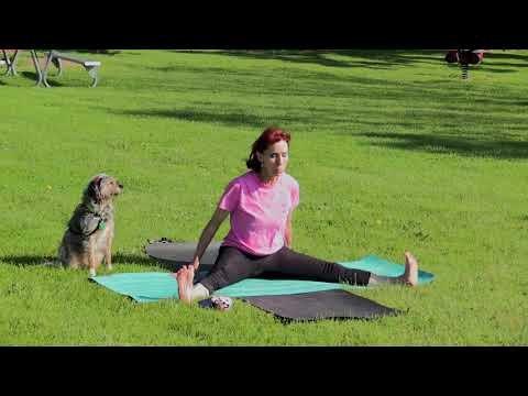 My dog loves to go to yoga with me.