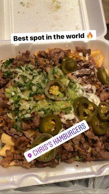 Carne Asada Fries