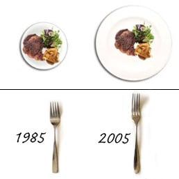 DEFLATE YOUR PLATE
TO LOSE THE WEIGHT