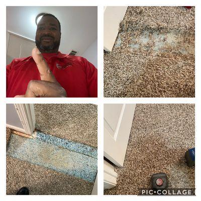 Carpet & Flooring Transformers Snellville