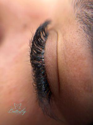 Studio Butterfly Lashes