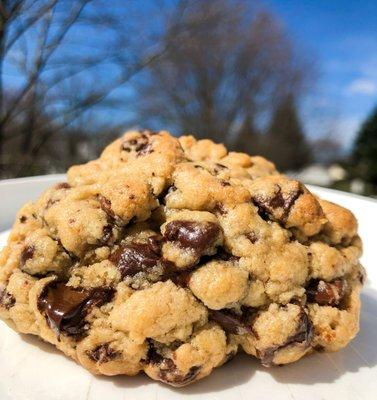 Chocolate Chip cookie