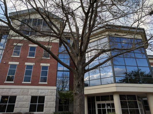 Henderson Library.