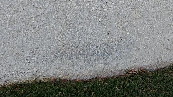 Rubber tire marks on stucco wall, likely form their stand-on mower. Professional? HOA has to pay for the damage. No charge-back to M&R.