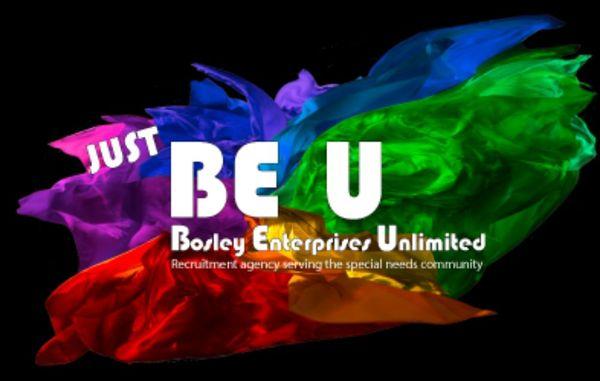 Bosley Enterprises Unlimited