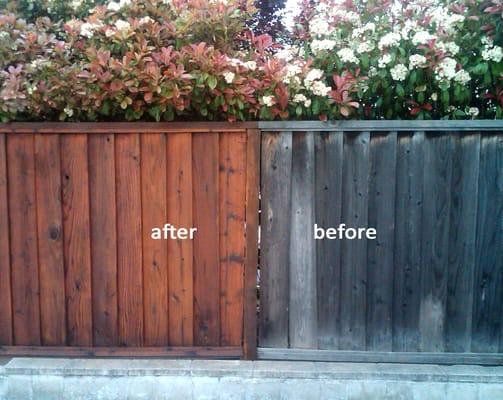 Fence before & after.