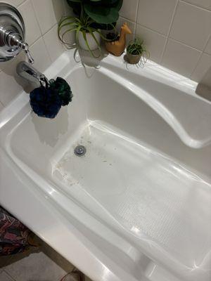 Asked to clean our bathtub- didn't do it