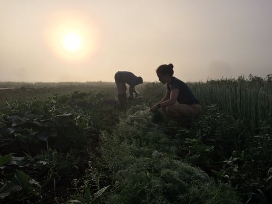 Meet your farmers!