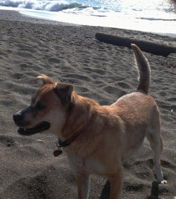 "The beach, the beach, the beach!" Roxy.