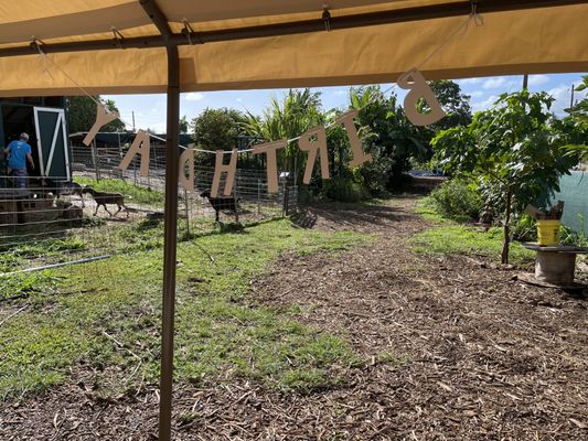 View from the tent area